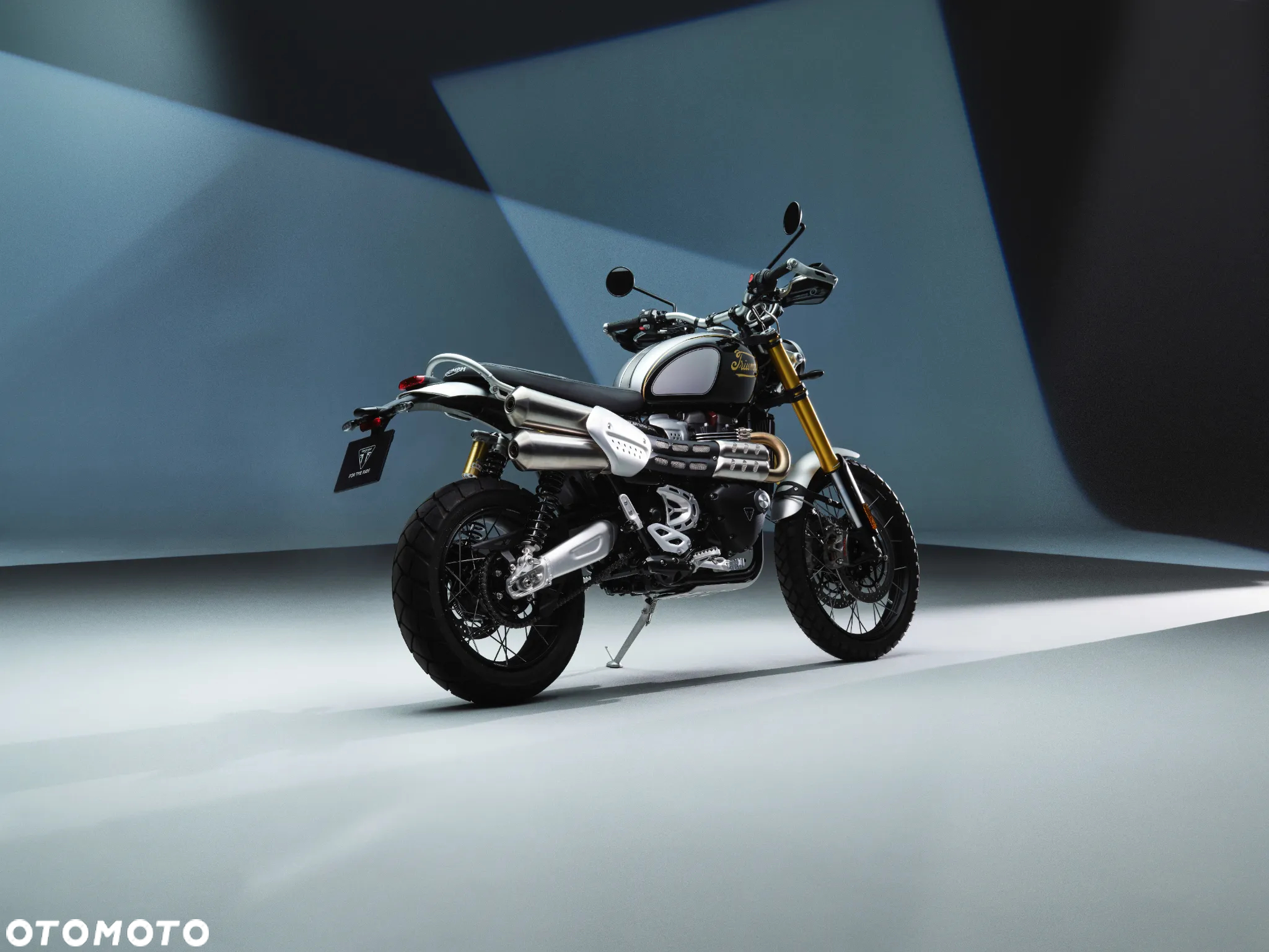 Triumph Scrambler - 4