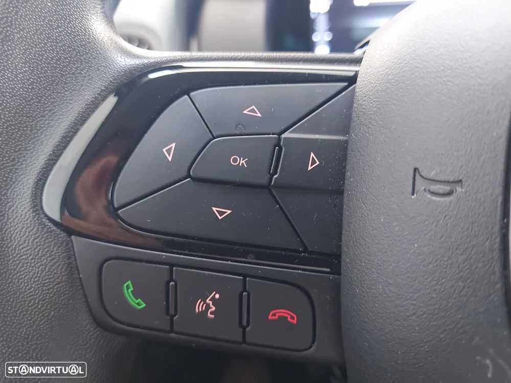 Fiat Panda Pandina 1.0 Hybrid - 22