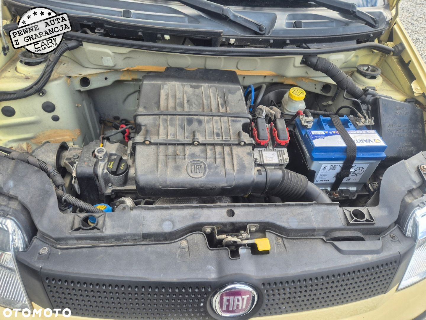 Fiat Panda - 23