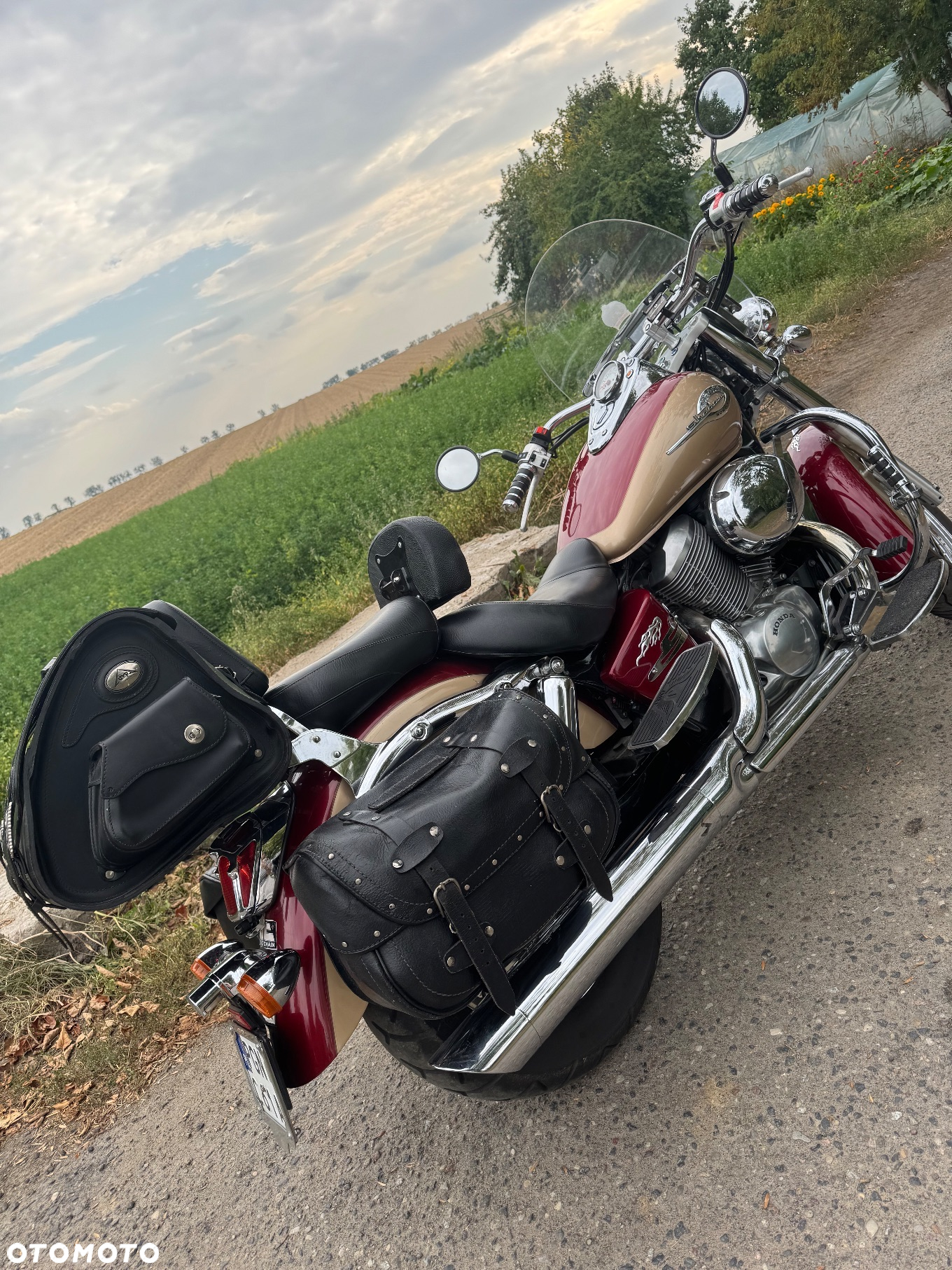 Honda Shadow - 4