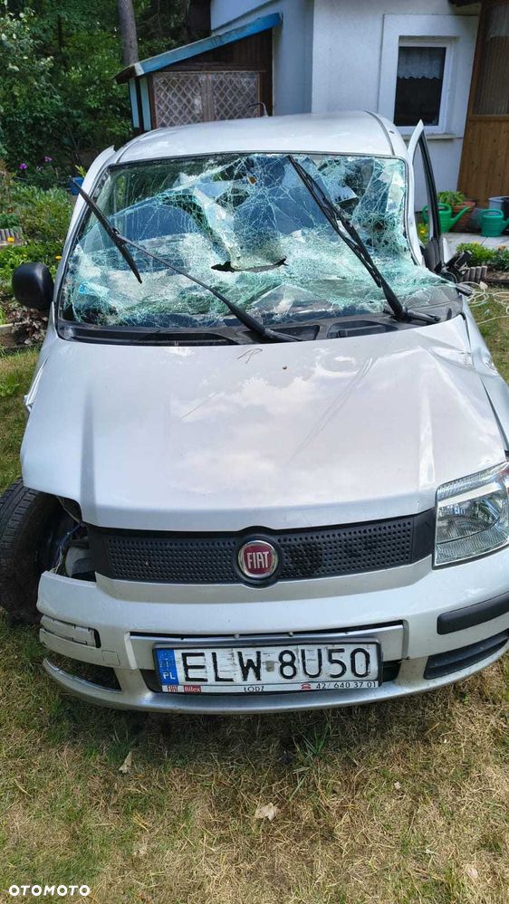 Fiat Panda - 1