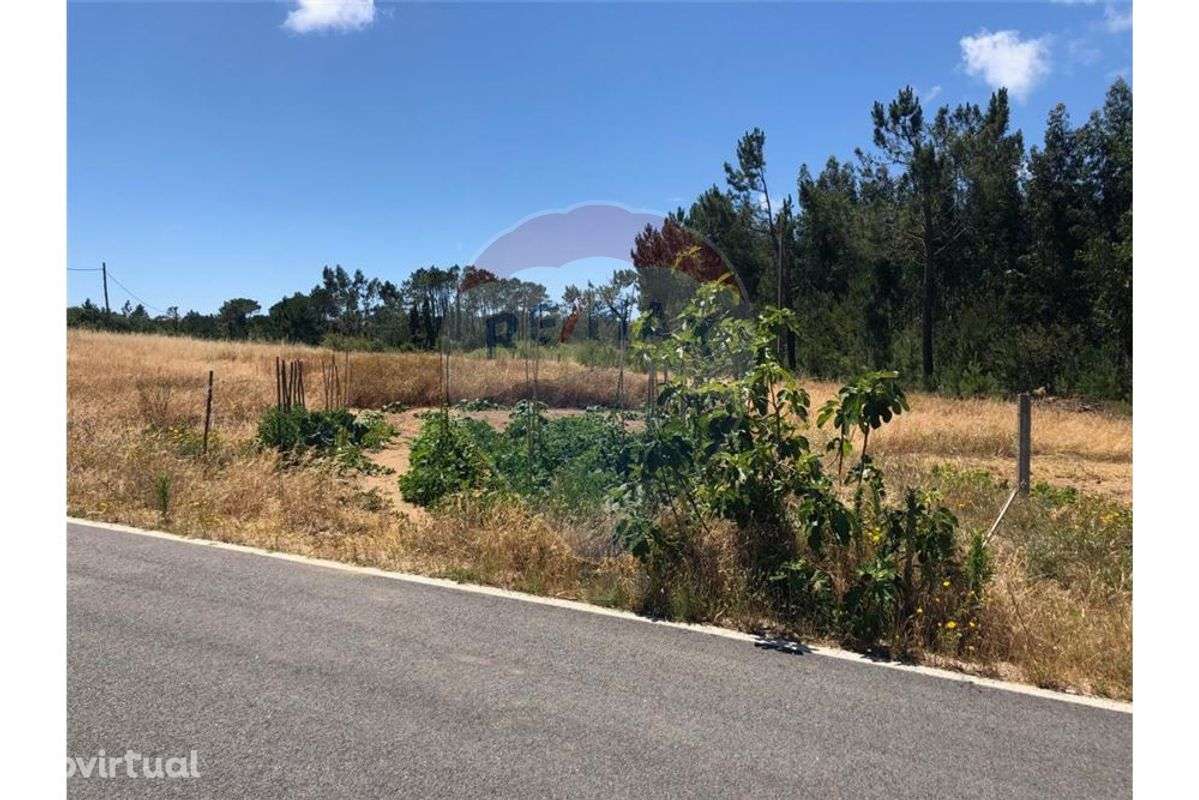 Terreno com 6,317 m2 - Grande imagem: 3/8