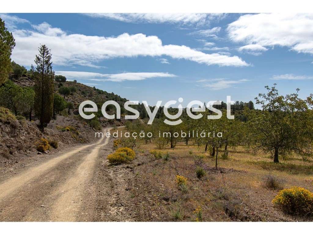 Terreno Urbano de 629 m2 com ruína, inserido em rústicos com 19,7 ha - Grande imagem: 4/17