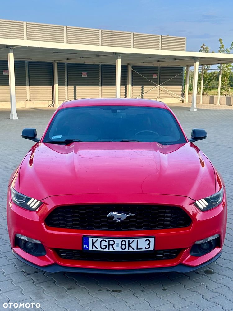 Ford Mustang 2.3 EcoBoost - 2