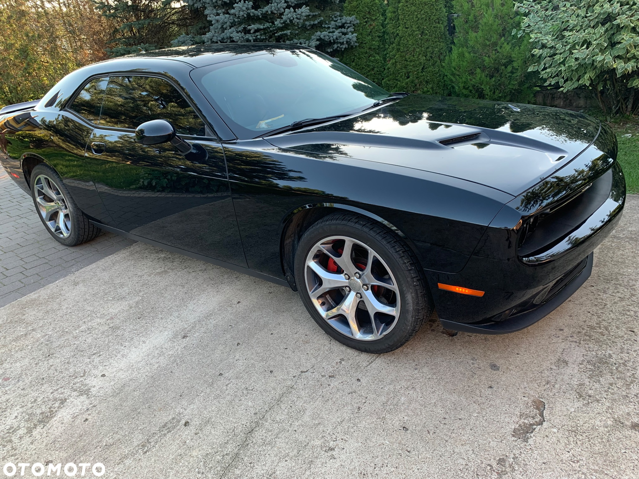 Dodge Challenger Automatik SXT Plus - 6