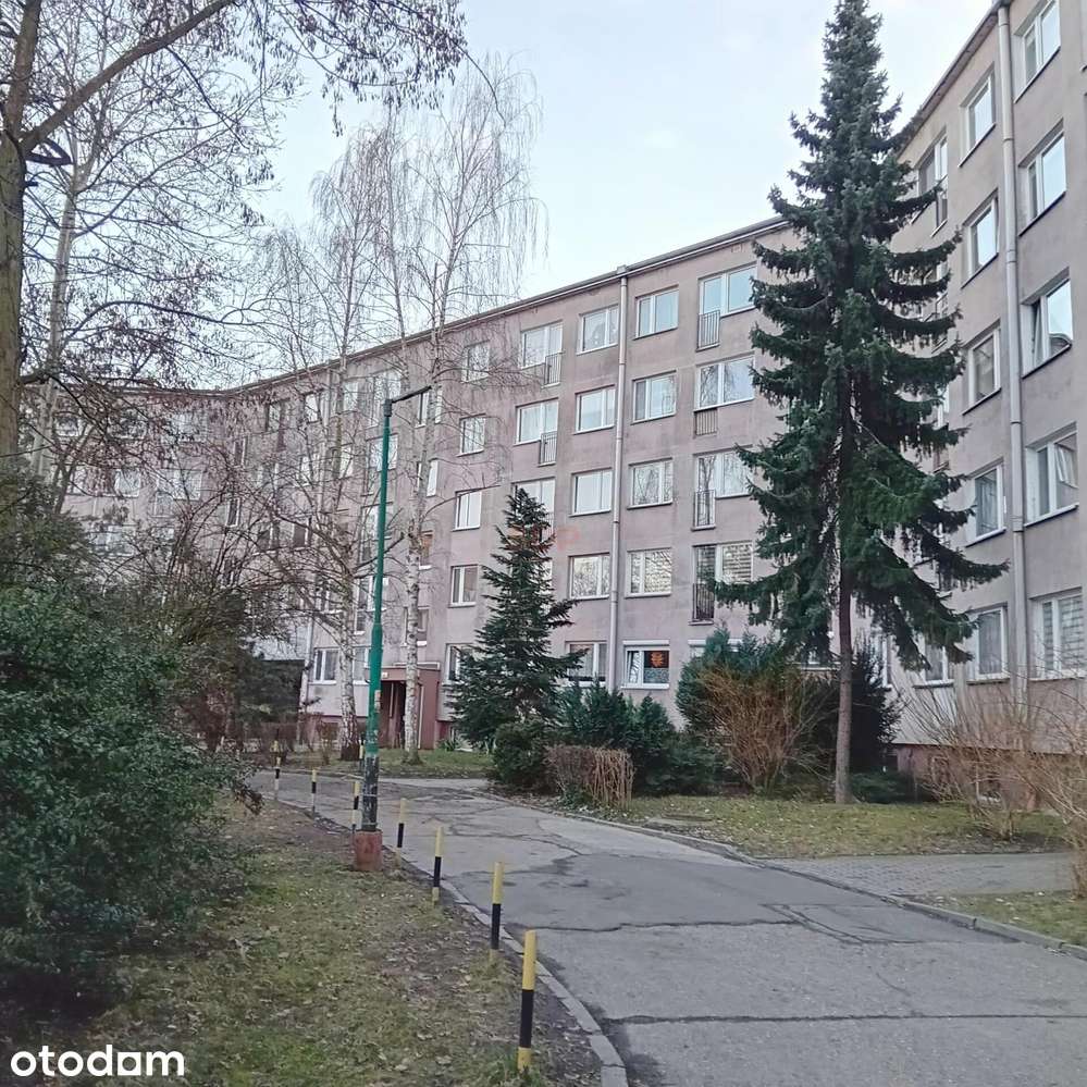 Słoneczne 3 pokojowe / oddzielna kuchnia / duży balkon / piwnica