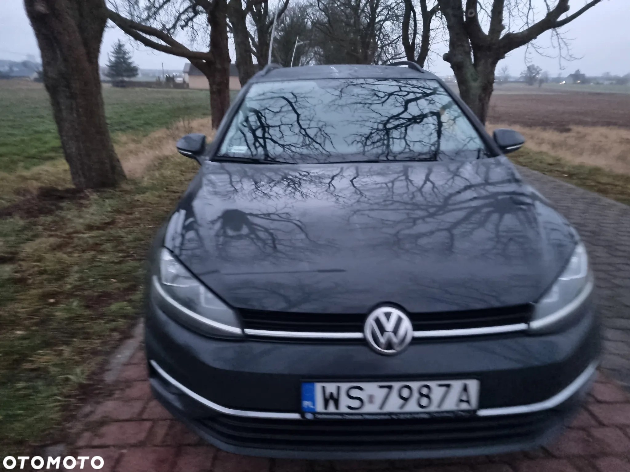 Volkswagen Golf VII 1.4 TSI BMT Highline - 21