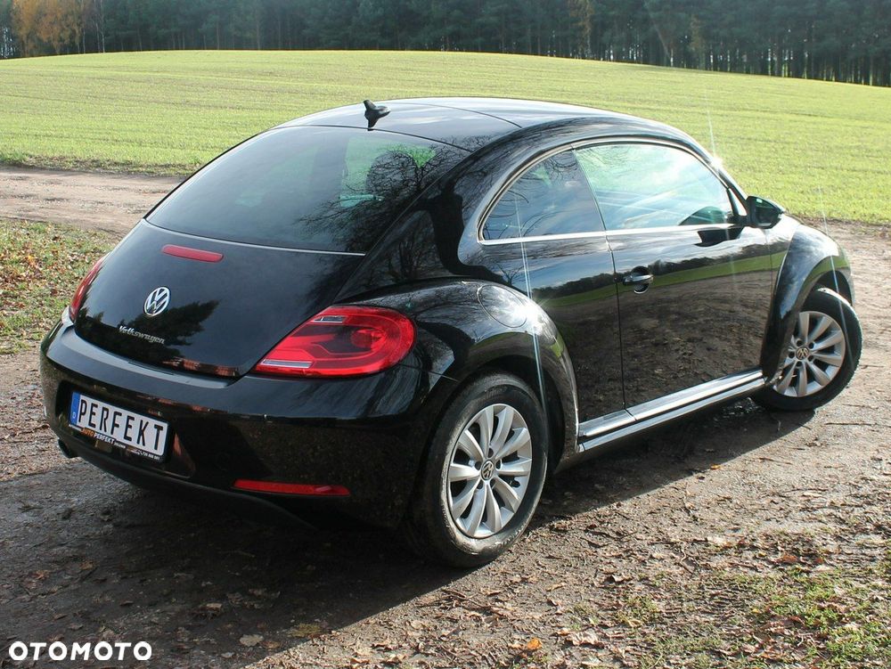 Volkswagen Beetle - 13