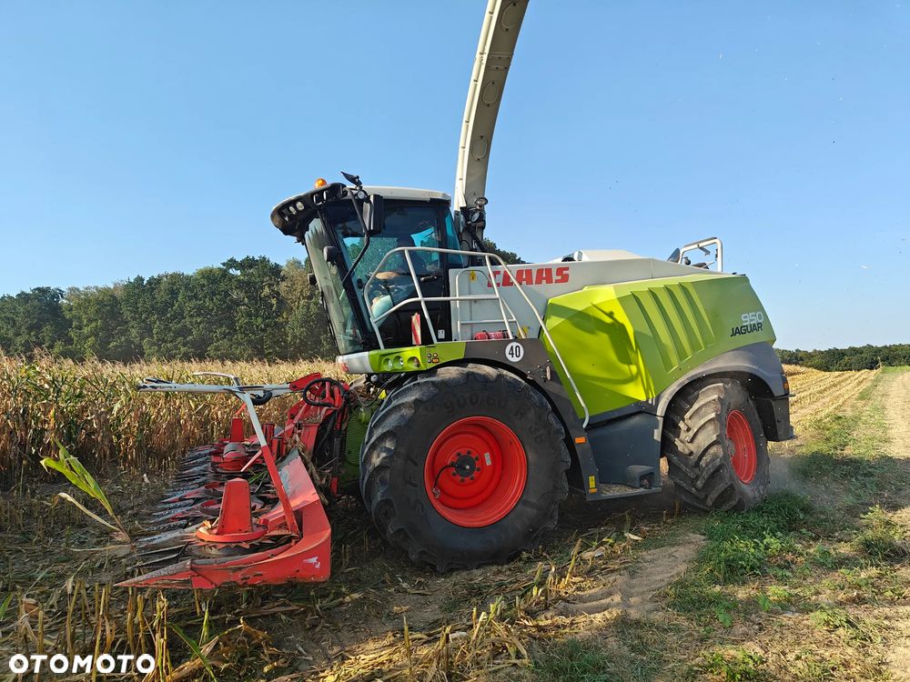 Claas Jaguar 950, 2016, 4x4 - 7