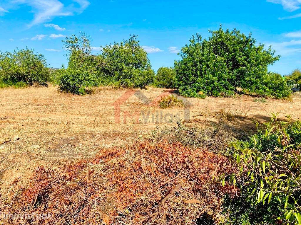 Terreno para construção de habitação, escritórios e comércio - Alma... - Grande imagem: 3/3