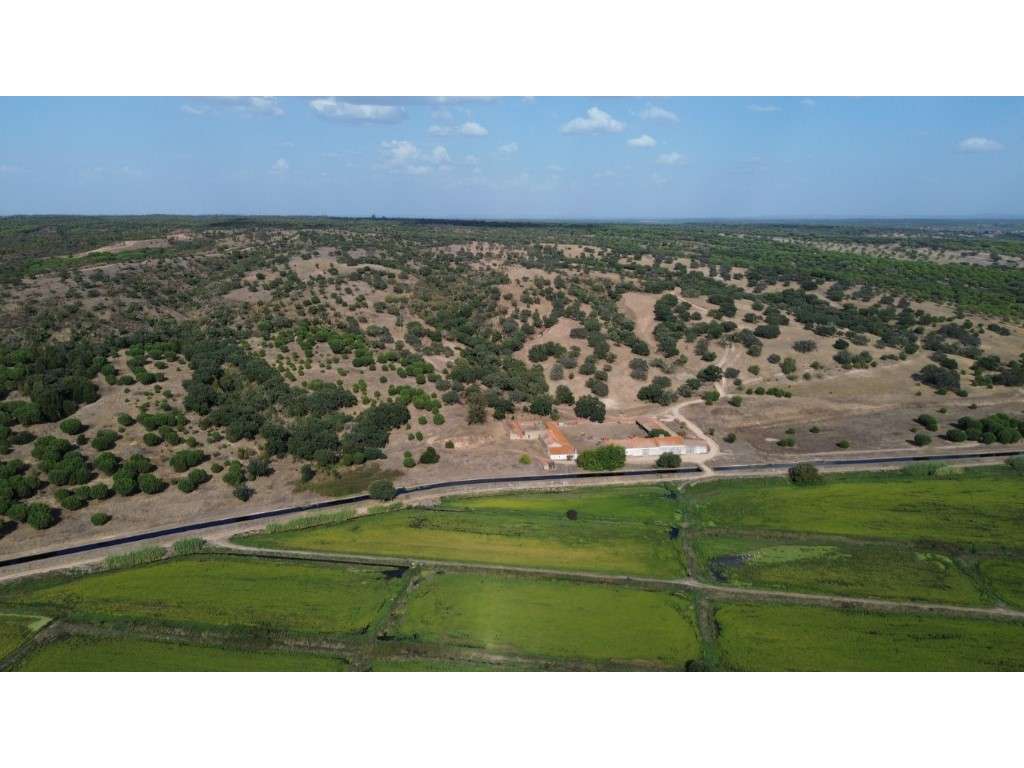 Herdade com 145 ha em Alcácer do Sal - Grande imagem: 4/19