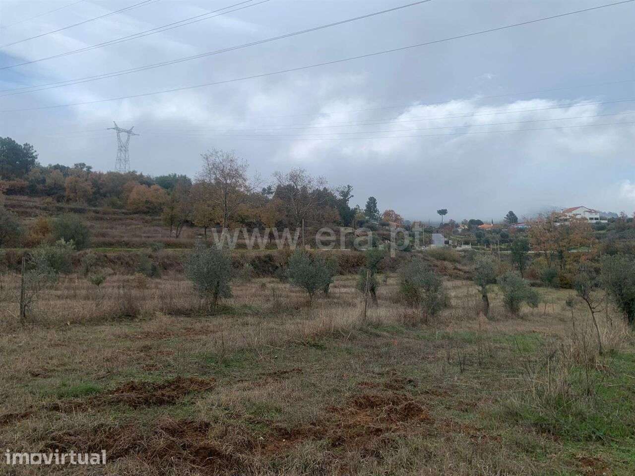 Quintinha T1 / Fundão, Pêro Viseu - Grande imagem: 5/12