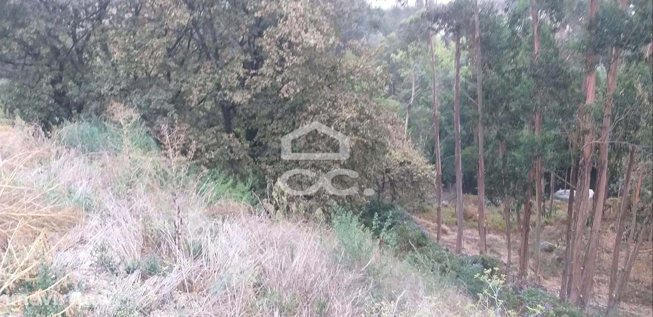 Terreno de construção - Delães - Grande imagem: 3/5