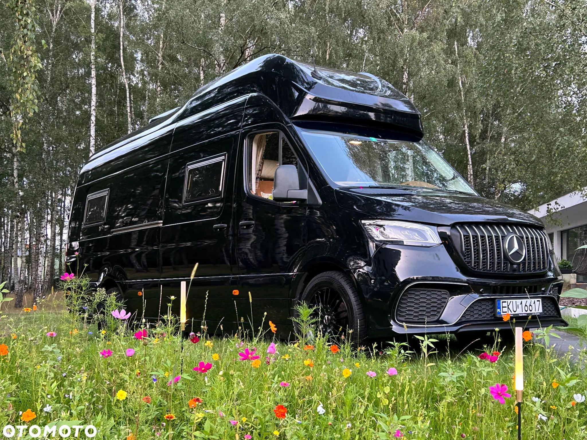 Mercedes-Benz SPRINTER 319 - 1