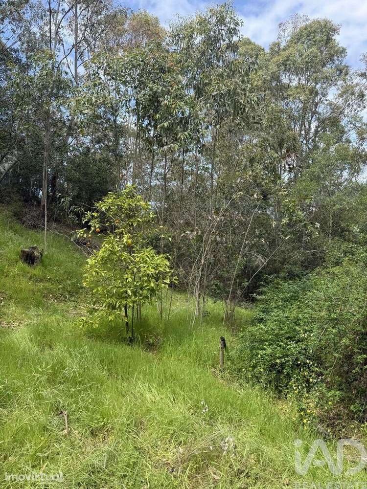 Terreno em Sesimbra (Castelo) - Grande imagem: 2/17