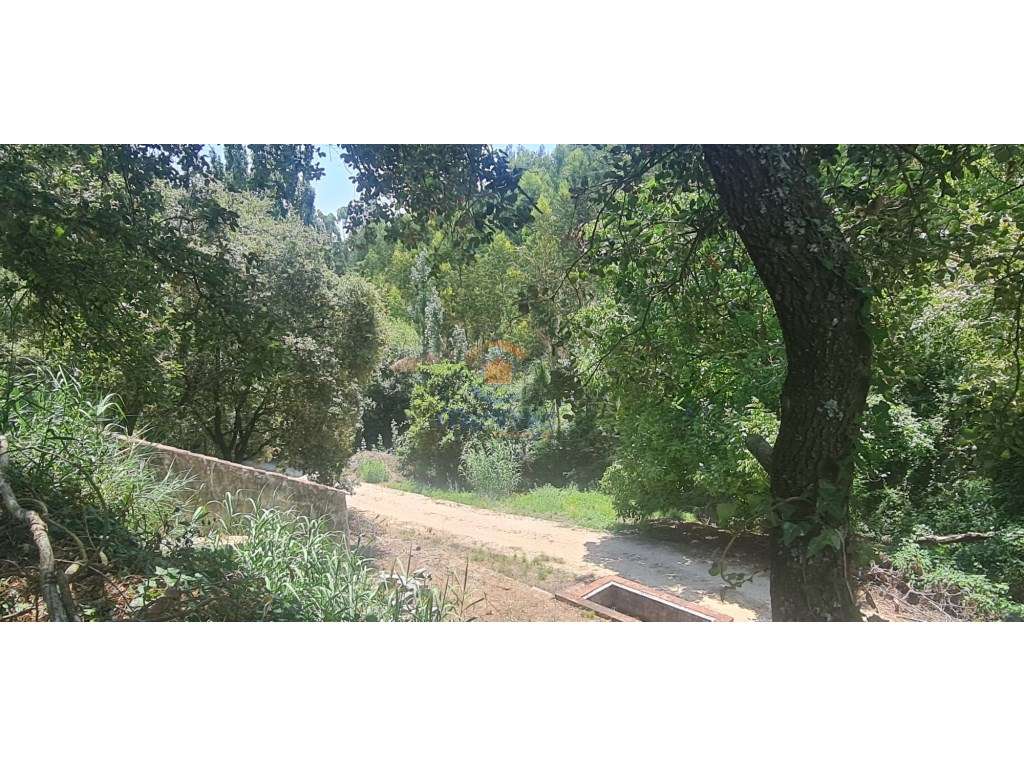 Quintinha 4.500m2 | Casais Brancos, Alenquer - Grande imagem: 5/8