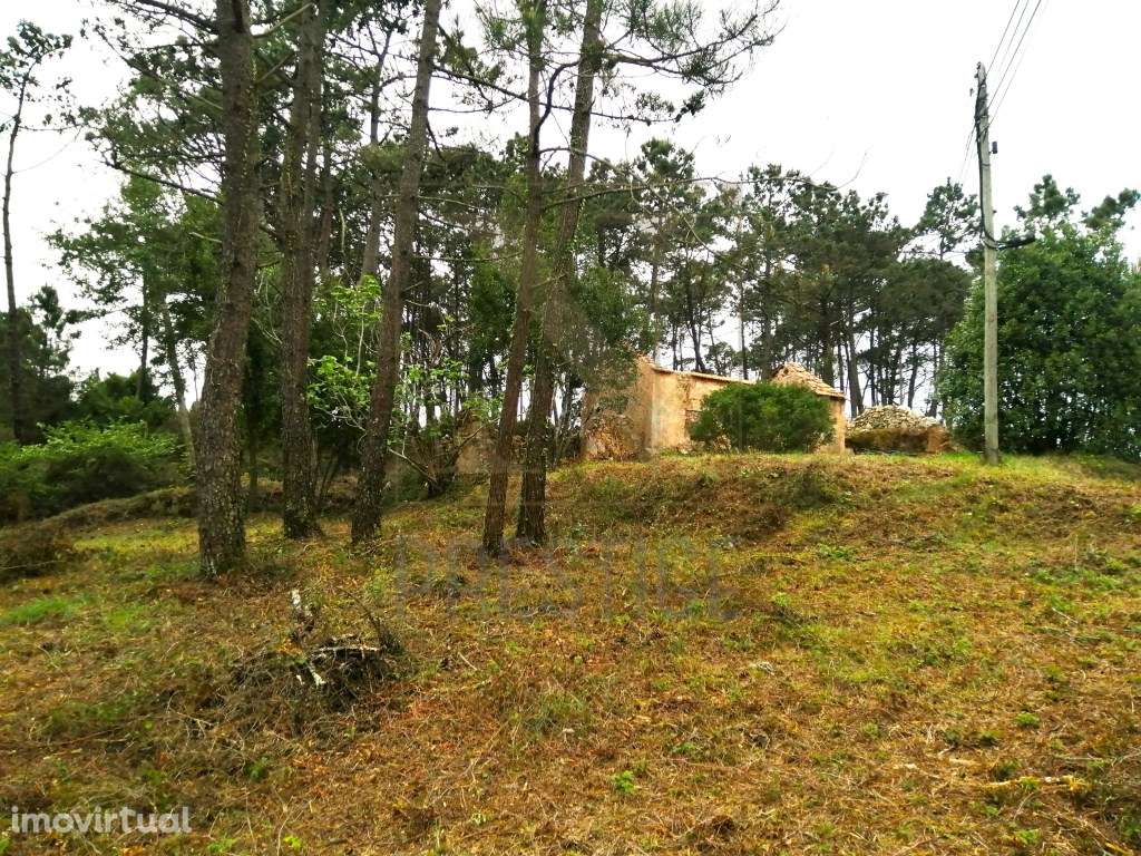 Terreno urbano na Serra da Boa Viagem - Grande imagem: 3/11