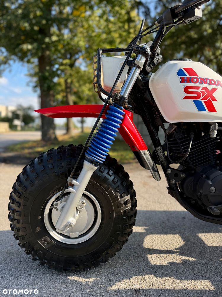 Honda FourTrax - 3