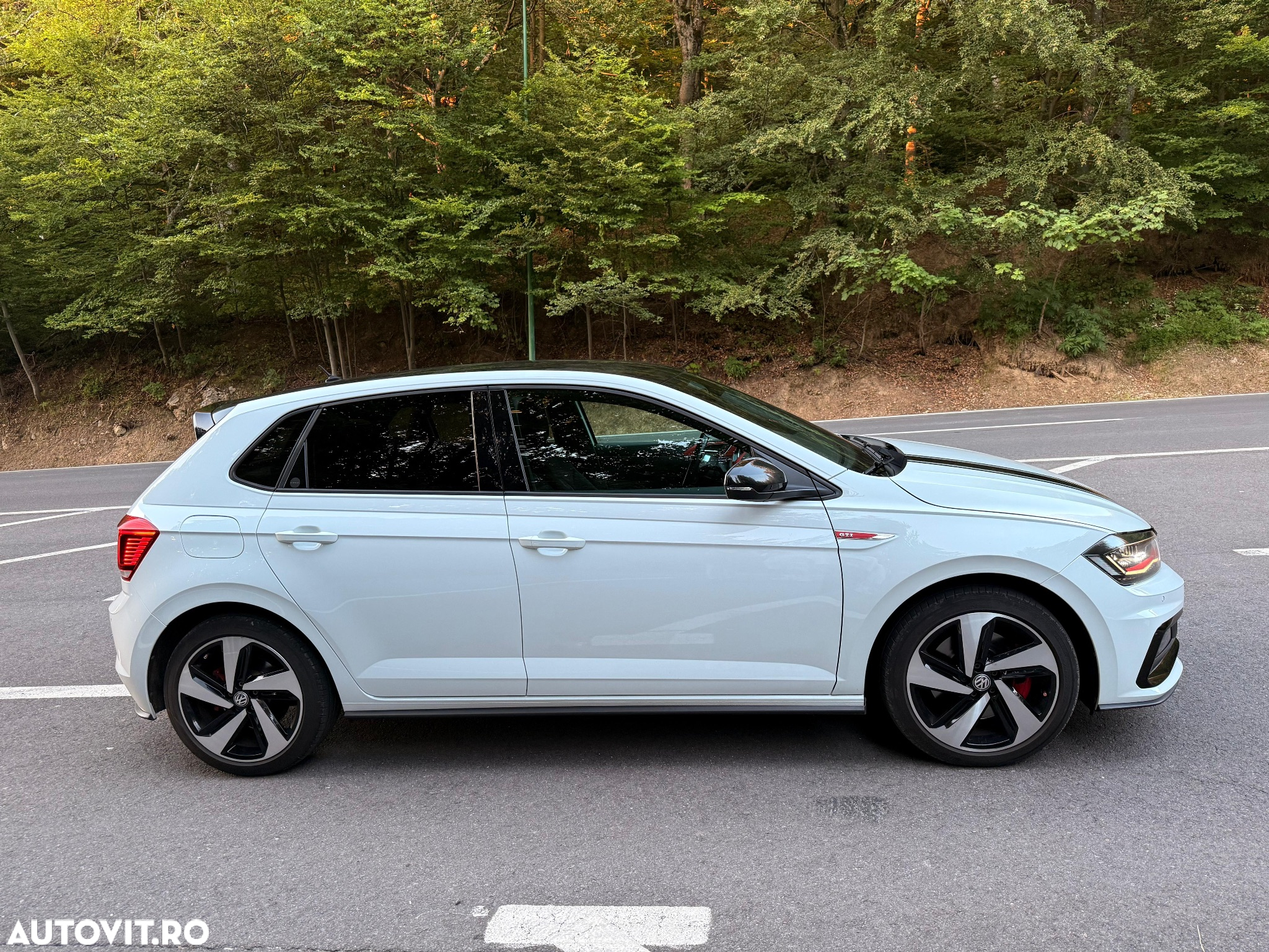 Volkswagen Polo 2.0 TSI DSG GTI - 17