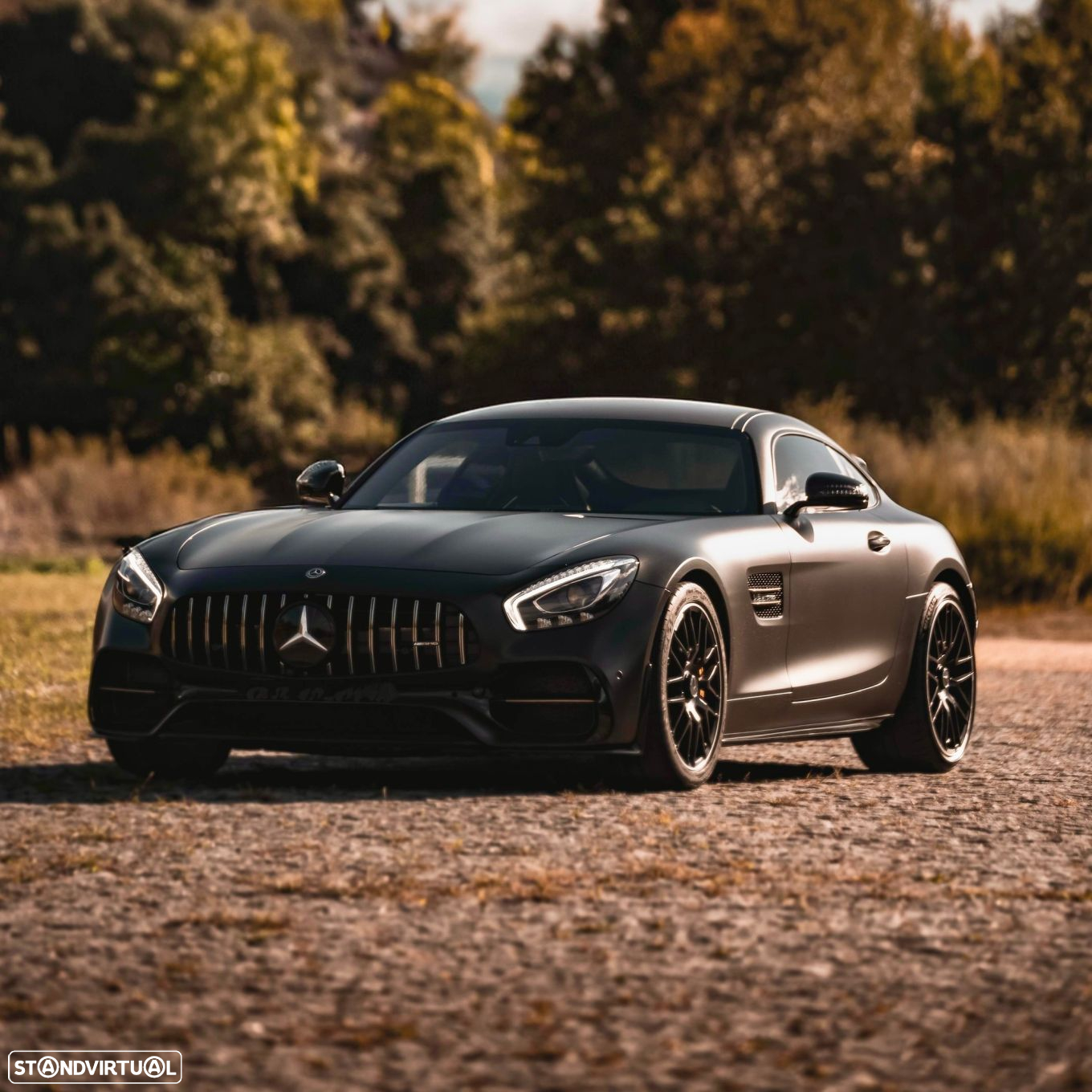 Mercedes-Benz AMG GT S - 21