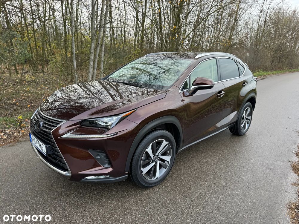 Lexus NX 300h F Impression AWD - 2