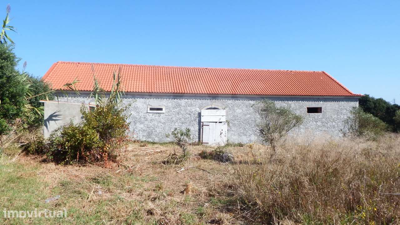 Quinta com Adega | 37.500 m² | Atouguia da Baleia, Peniche - Grande imagem: 4/22