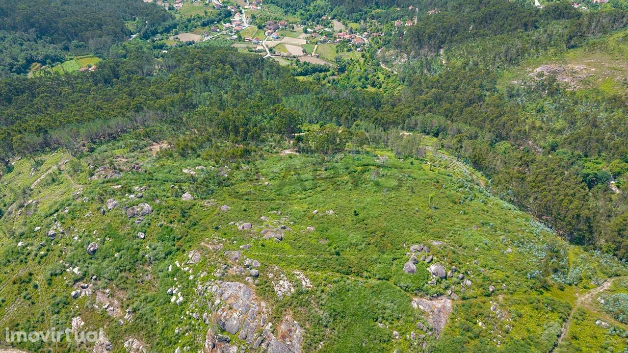 Bouça em Sande, Vila Verde - Grande imagem: 3/7