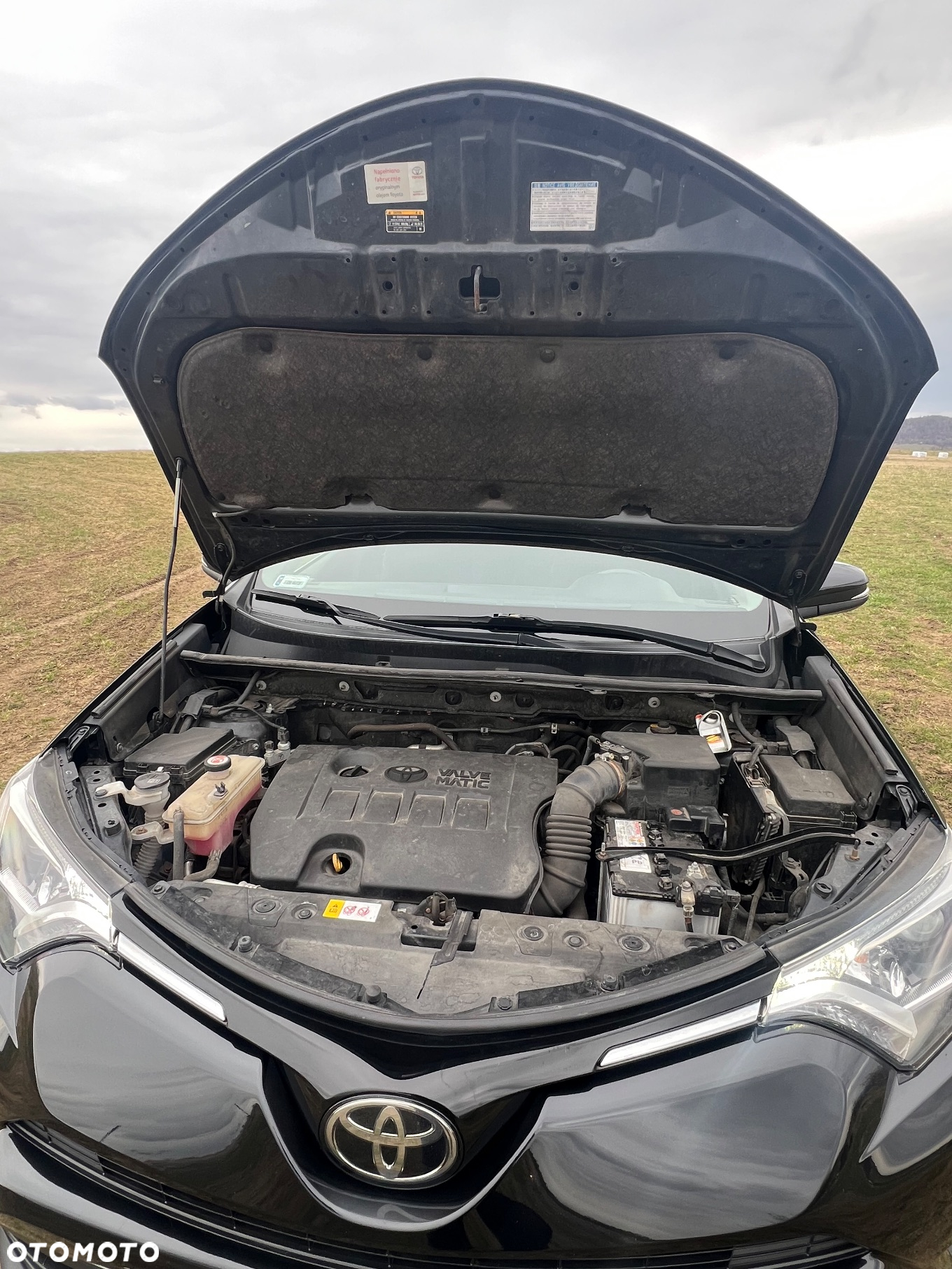 Toyota RAV4 2.0 Prestige 4x4 MS - 5