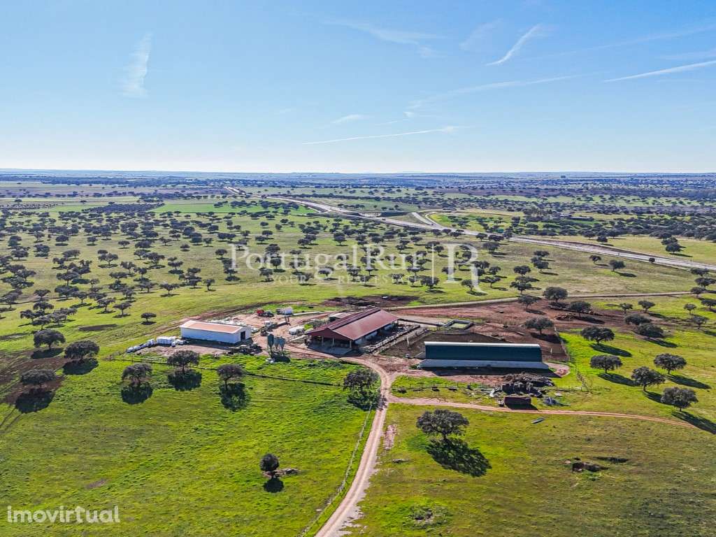 Herdade com 844 hectares - Ganadeira para pastagem e Engorda de Ani... - Grande imagem: 4/49
