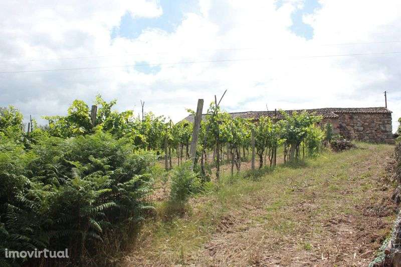 Casa típica em pedra - Grande imagem: 5/7