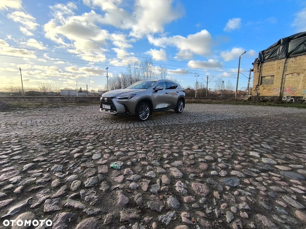 Lexus NX - 8