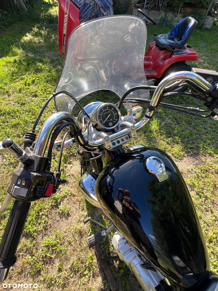 Yamaha Virago - 6