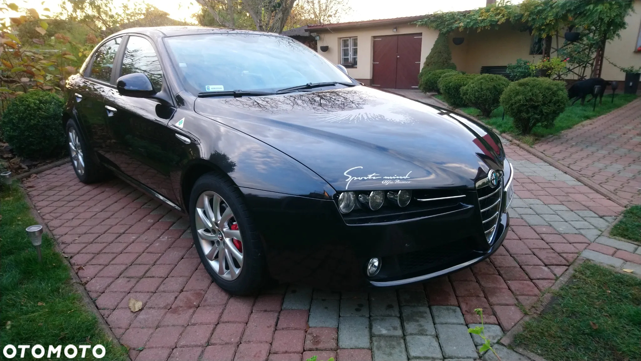 Alfa Romeo 159 2.0 JTDM 16V DPF - 24