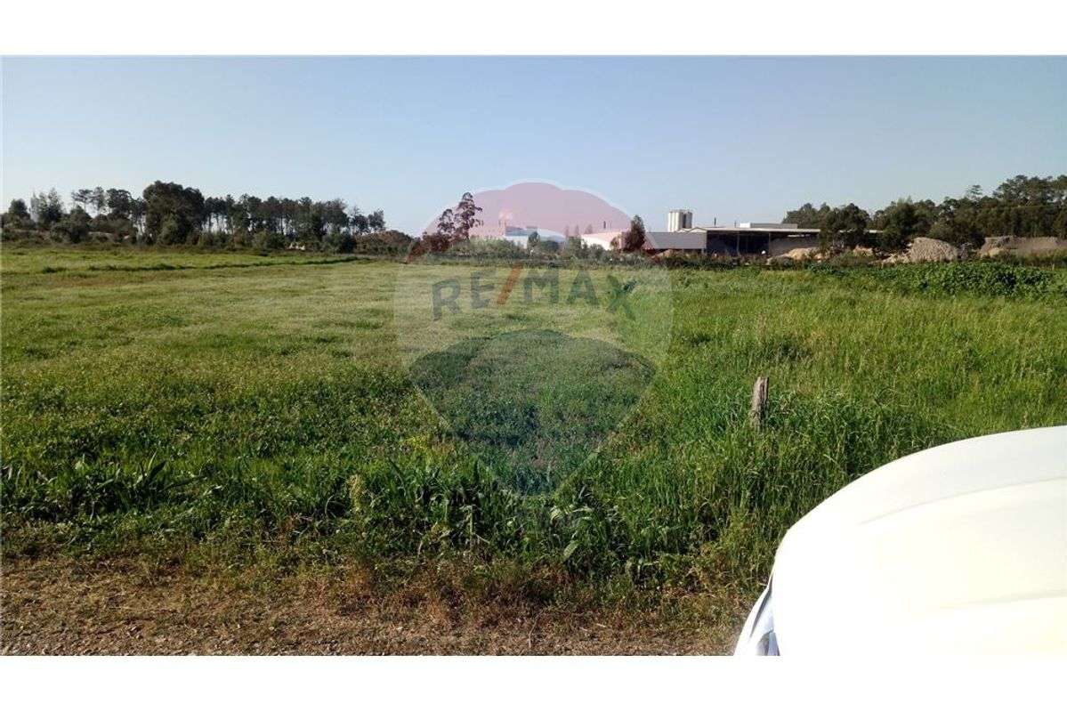Terreno  para venda - Grande imagem: 3/9