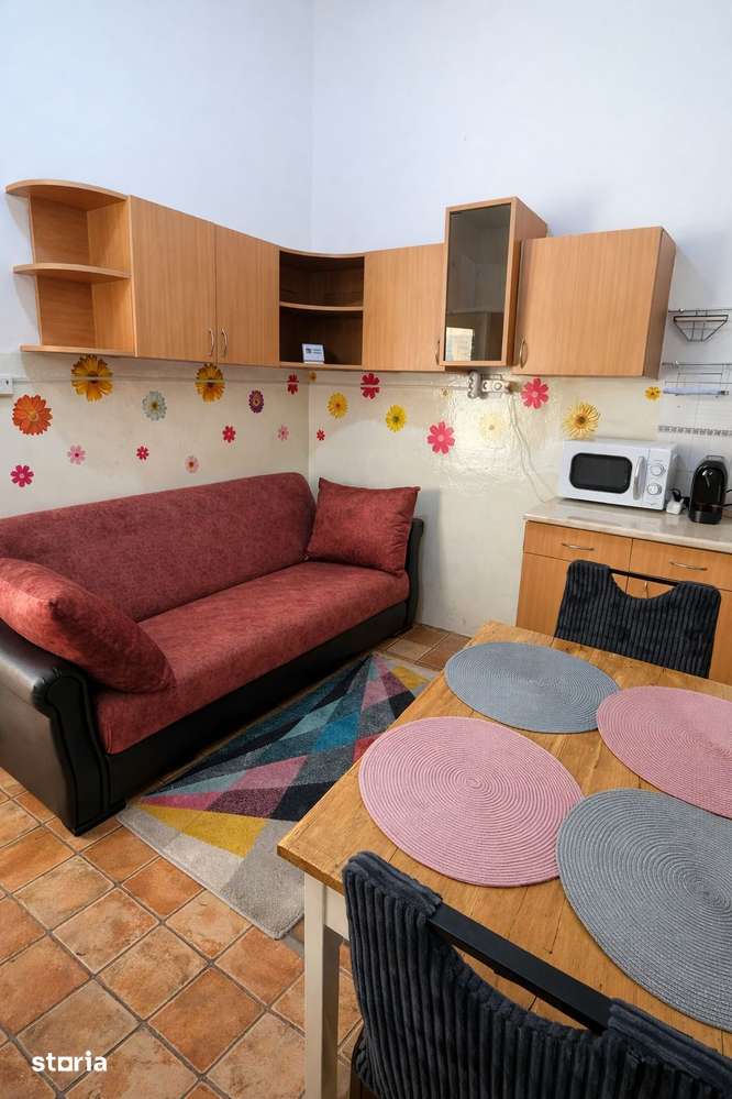 Apartament 1 Camera De Inchiriat | Ultracentral | Piata Unirii | UMF — fotografia 3