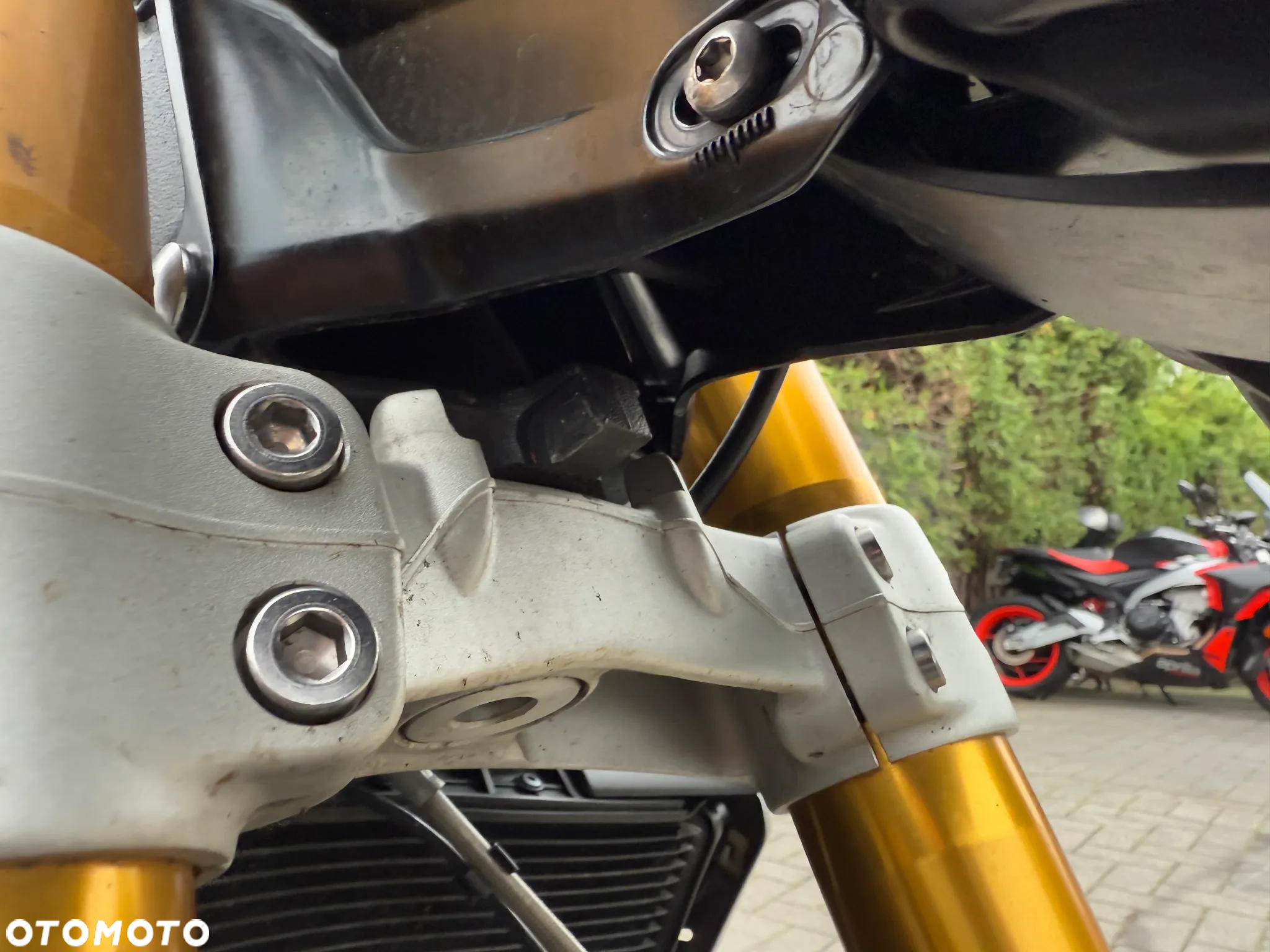 Triumph Speed Triple - 10