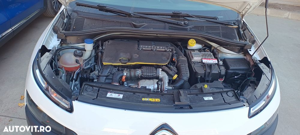 Citroën C4 Cactus 1.6 BlueHDi S&S BVM Feel - 13