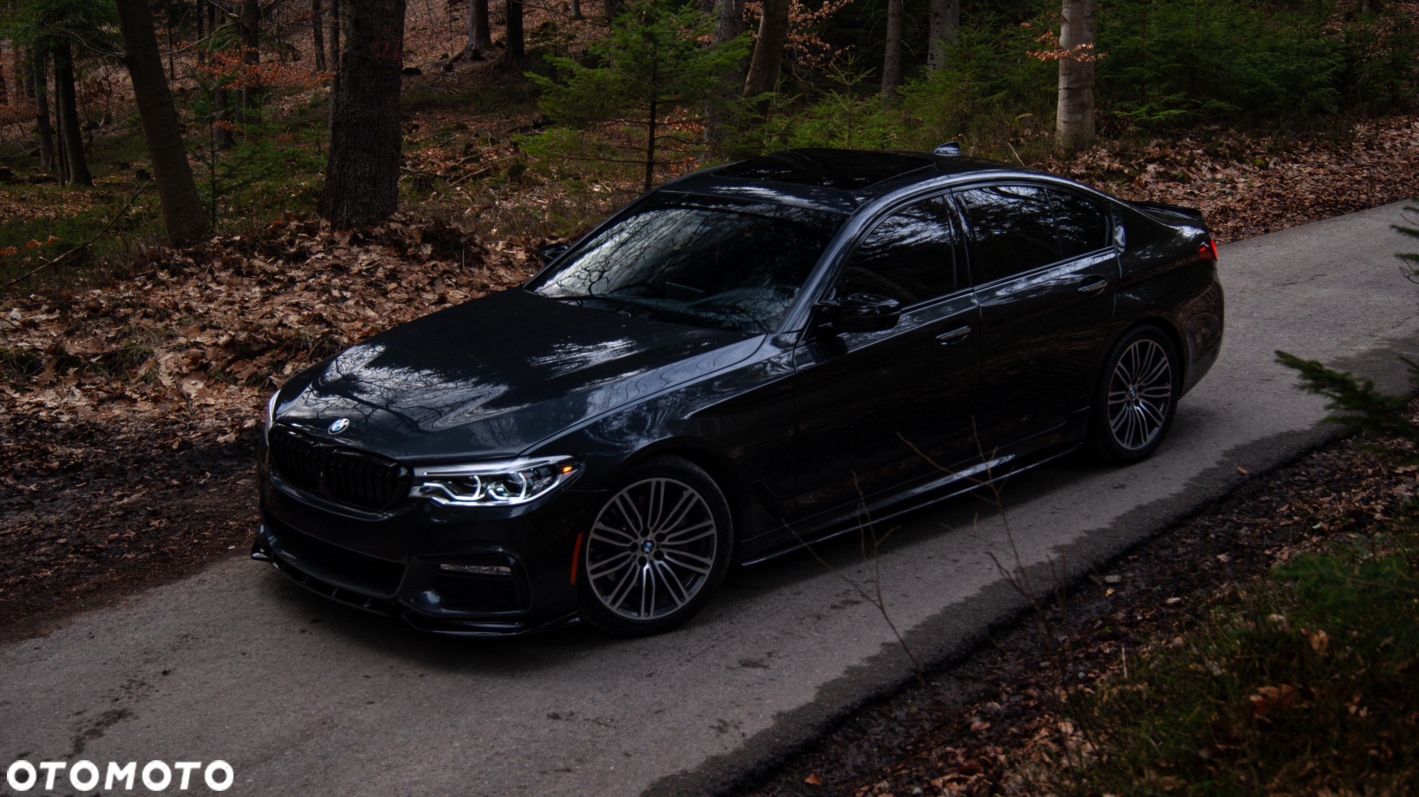 BMW Seria 5 - 16