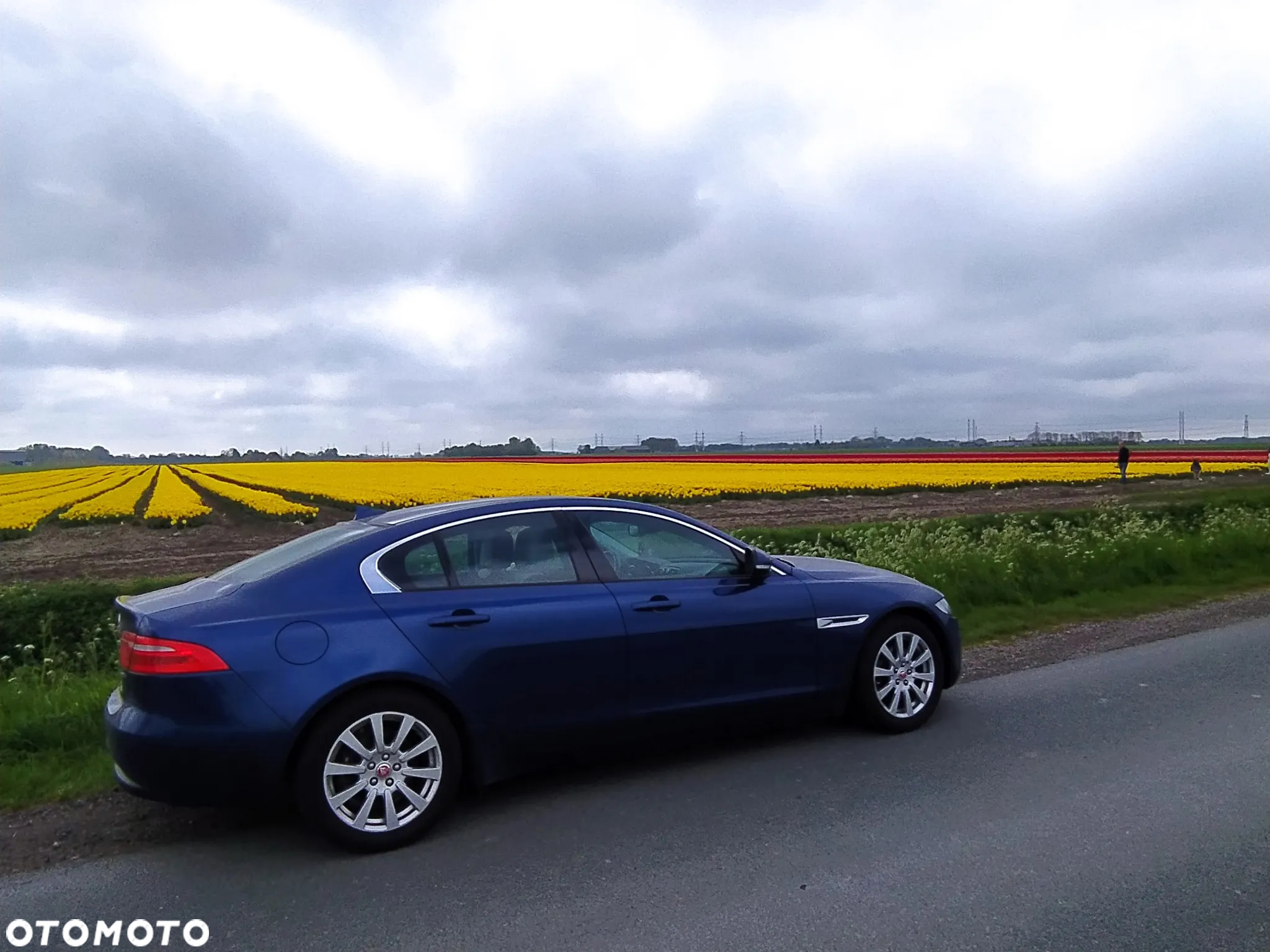 Jaguar XE 2.0 D AWD Pure - 16
