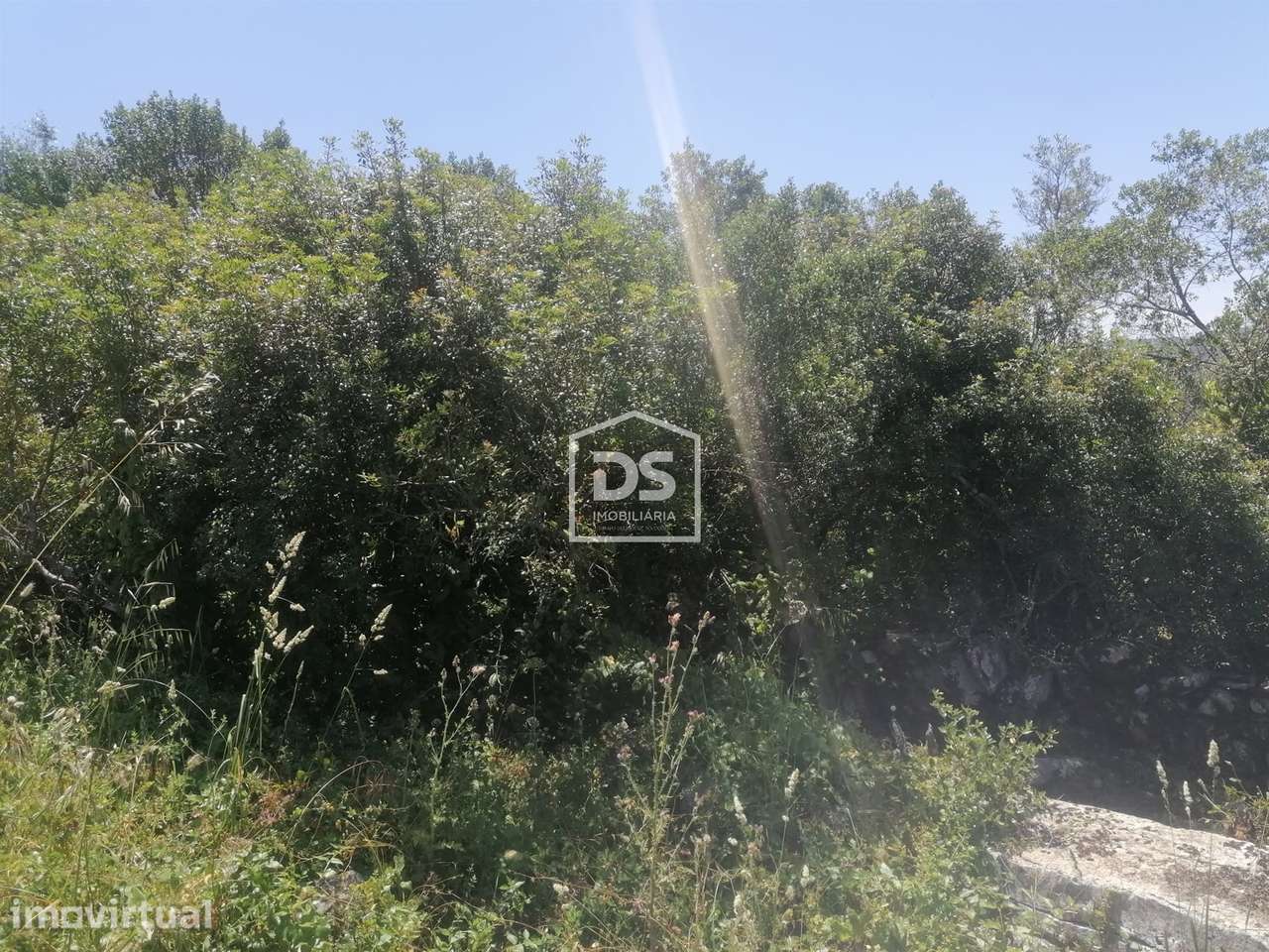 Terreno Para Construção  Venda em Minde,Alcanena - Grande imagem: 2/3