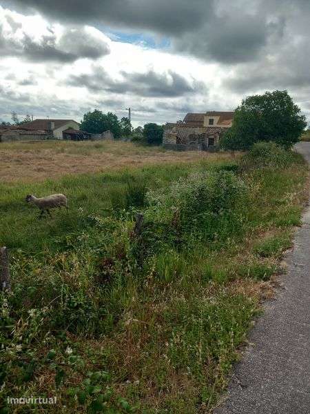 Ótimo Terreno em Cabeça Alta Montemor o velho  com 3.198,80m2 - Grande imagem: 2/8
