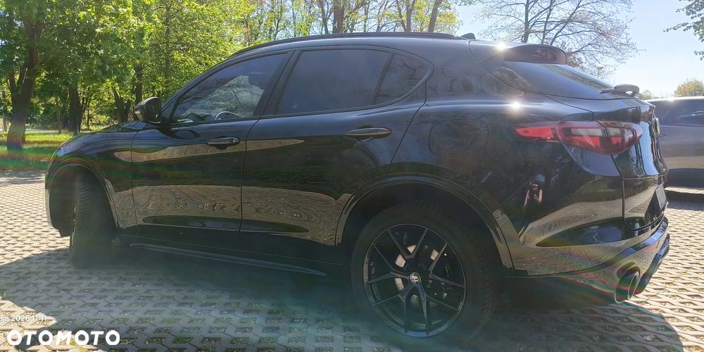 Alfa Romeo Stelvio 2.0 Turbo 16V AT8-Q4 Estrema - 7