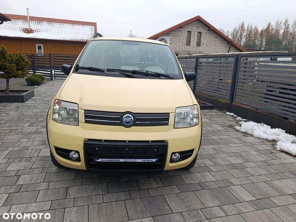 Fiat Panda 1.2 4x4 - 3