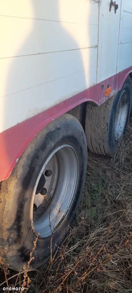 Zorzi 36s 136/19 LA - 19