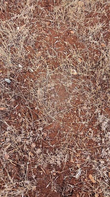 Terreno  para venda - Grande imagem: 4/4