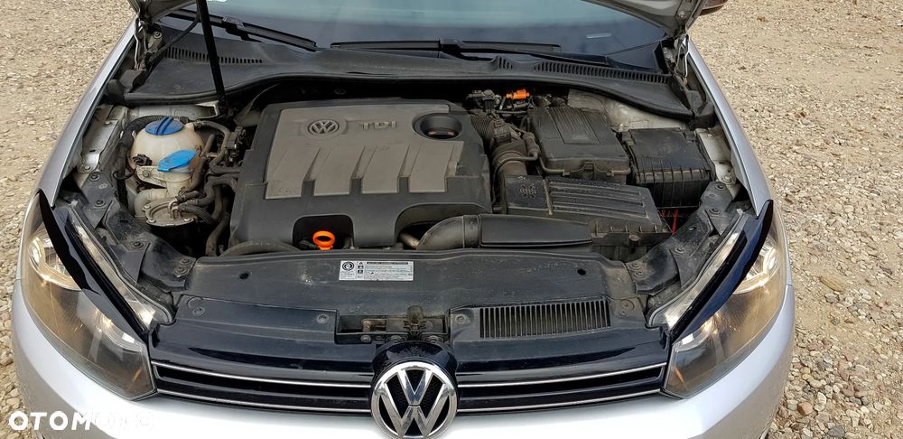 Volkswagen Golf - 19
