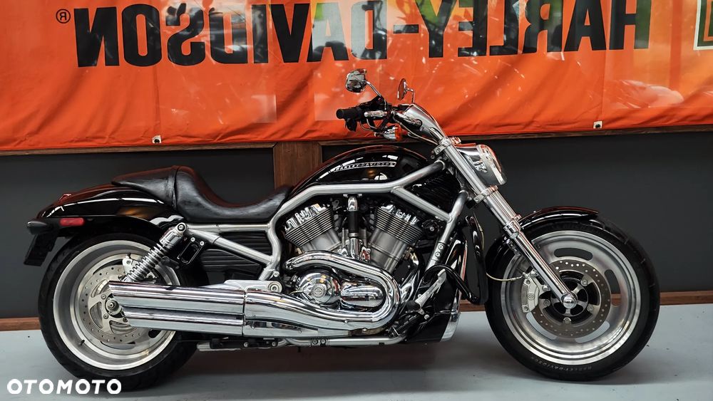 Harley-Davidson Softail V-Rod - 1