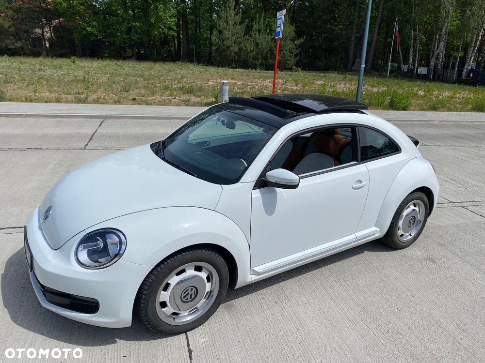 Volkswagen Beetle - 9