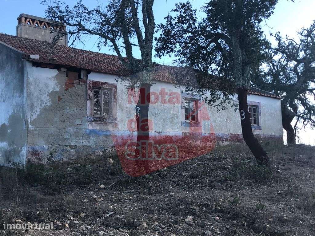 Quinta com habitação em São Francisco da Serra - Grande imagem: 5/12