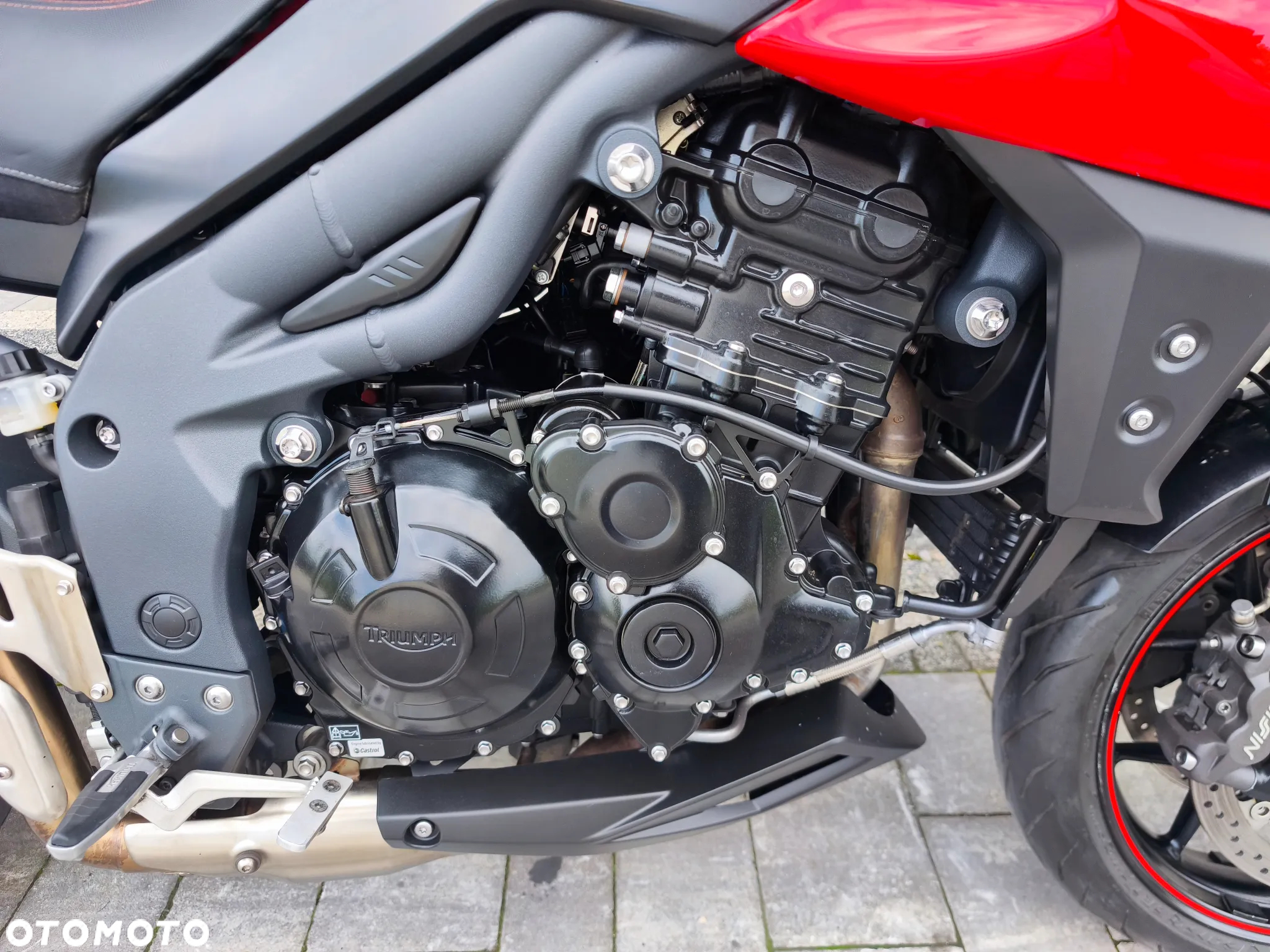 Triumph Tiger - 8